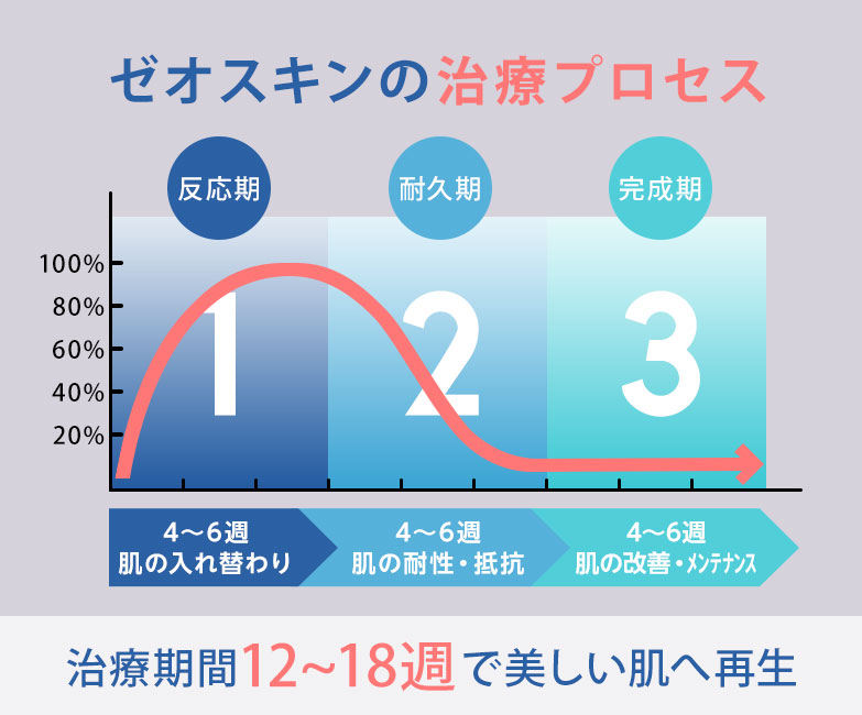 ゼオスキンのプロセスのイメージ